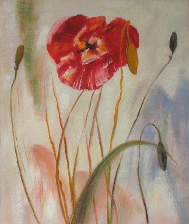 Obraz - Červený květ