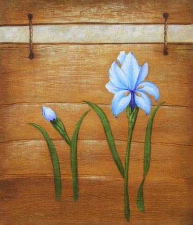 Obraz - Dva modré květy