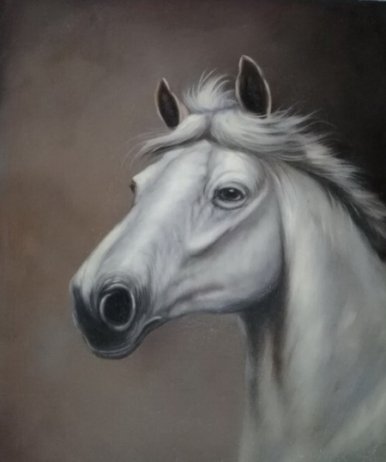Obraz - Kůň