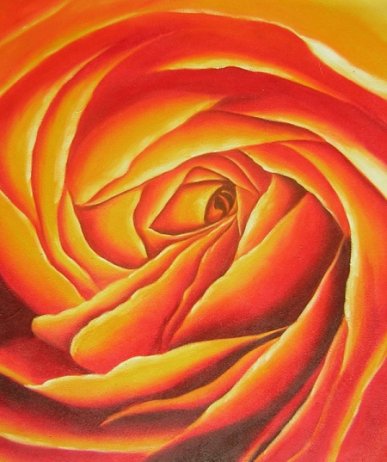 Obraz - Květ  růže