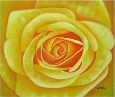 Obraz - Žlutá růže