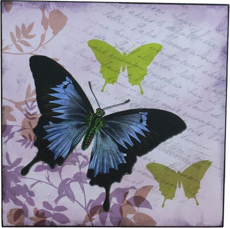 Obraz 38x38 - Motýl, 355117