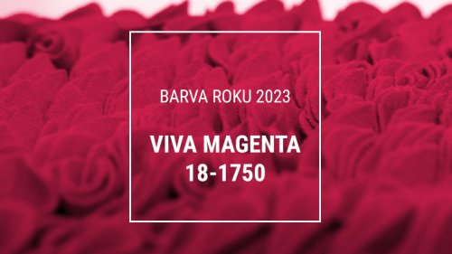 Barva roku 2023