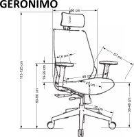 Ergonomická židle GERONIMO