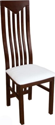Jídelní židle 15