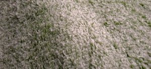 Kusový koberec Bono 8600-61, 160x230 cm