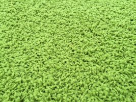 Kusový koberec Color Shaggy zelený