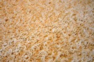 Kusový koberec Dream Shaggy 4000 cream 200x290 cm