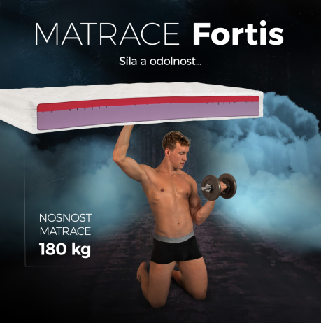 Matrace Fortis 24 90x200 cm