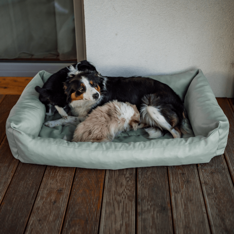 Mentolový pelíšek pro psa Beddog 115 cm