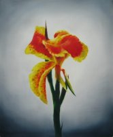 Obraz - Oranžový květ