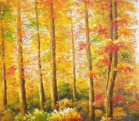 Obraz - Podzimní les