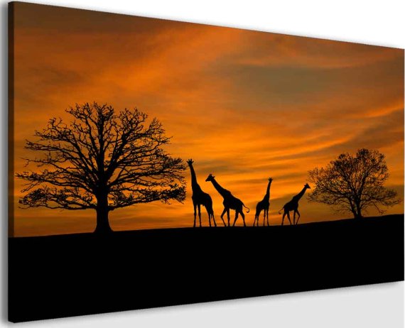 Obraz Západ slunce na Safari 120x80 cm