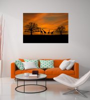 Obraz Západ slunce na Safari 150x100 cm