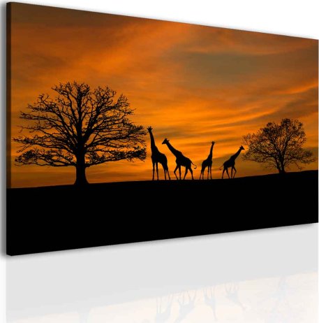 Obraz Západ slunce na Safari 60x40 cm