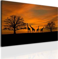 Obraz Západ slunce na Safari 90x60 cm