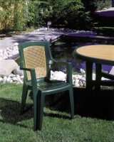 Plastová zahradní židle Viola Wood