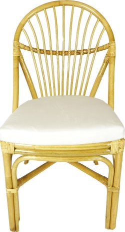 Ratanová jídelní židle BALI - světlý med