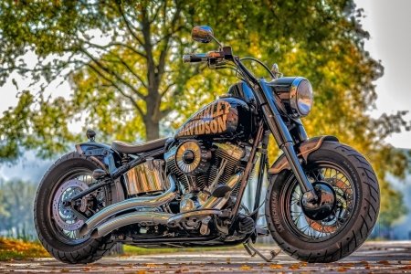 Tištěný obraz - Harley Davidson III.,80x120cm